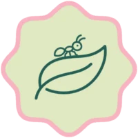 vegetali e naturali